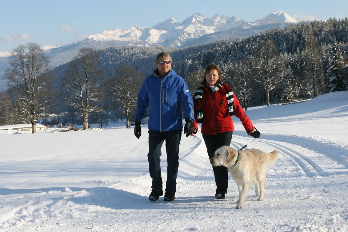 Winterwandern Lärchenweg - Touren-Impression #1 | © Erlebnisregion Schladming-Dachstein