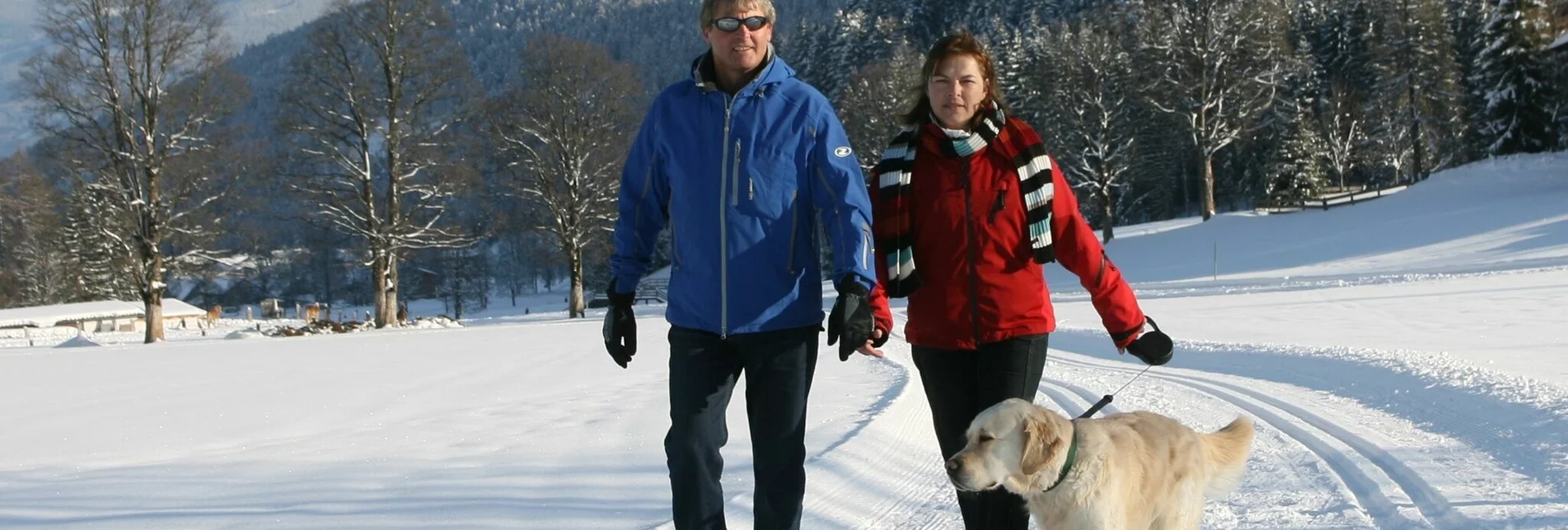 Winter Hiking Larch Trail - Touren-Impression #1 | © Erlebnisregion Schladming-Dachstein