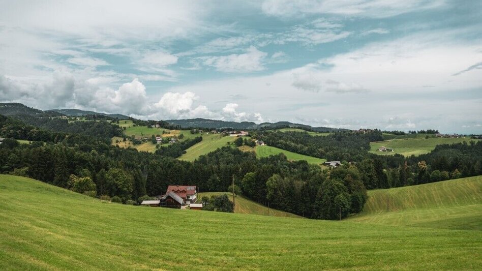 Wanderung Aibler Schilchertour - Touren-Impression #2.4 | © TV Südsteiermark/Silvan