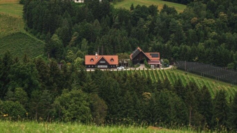 Wanderung Aibler Schilchertour - Touren-Impression #2.5 | © TV Südsteiermark/Silvan