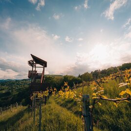 Weinbergwarte in Bad Gams | © Erelbnisregion Südsteiermark