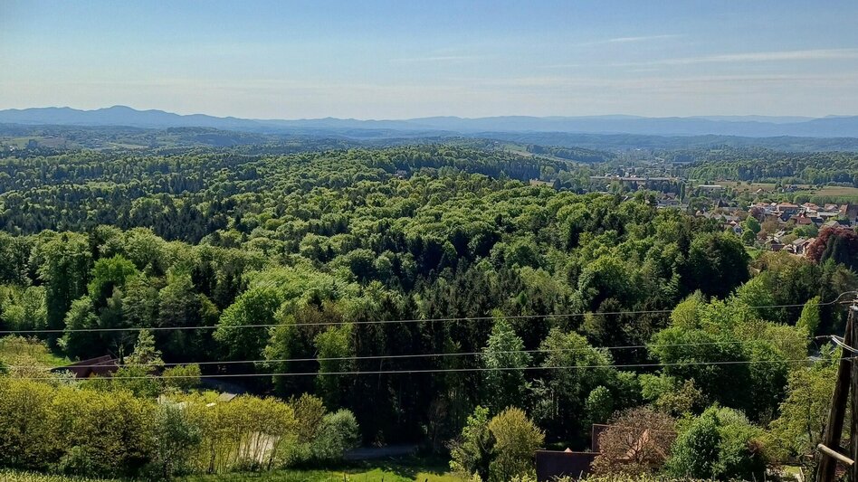 Wanderung Weinbergweg Bad Gams - Touren-Impression #2.4