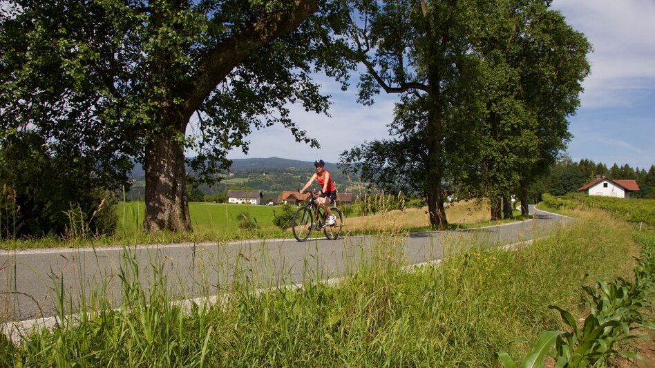 Radfahren Drei-Märkte Tour 746 - Touren-Impression #2.4 | © Region Graz