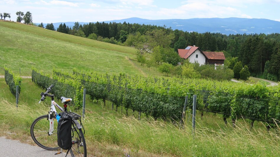 Radfahren Drei-Märkte Tour 746 - Touren-Impression #2.1 | © Region Graz