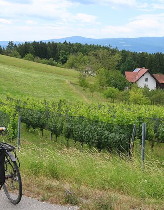 Drei-Märkte Tour, Aussichtspunkte und Weingärten | ausgeflogen.at, B. Huber | © Region Graz