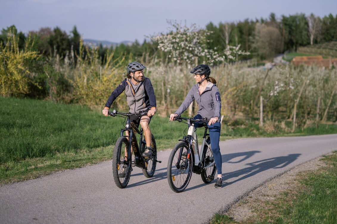 Radfahren Käferbohnentour ins Apfelland - Touren-Impression #1 | © Oststeiermark Tourismus