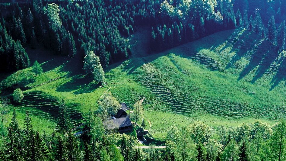 Wanderung Zum Josersee - Touren-Impression #2.4 | © TV Hochsteiermark