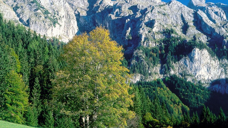 Wanderung Zum Josersee - Touren-Impression #2.6 | © TV Hochsteiermark