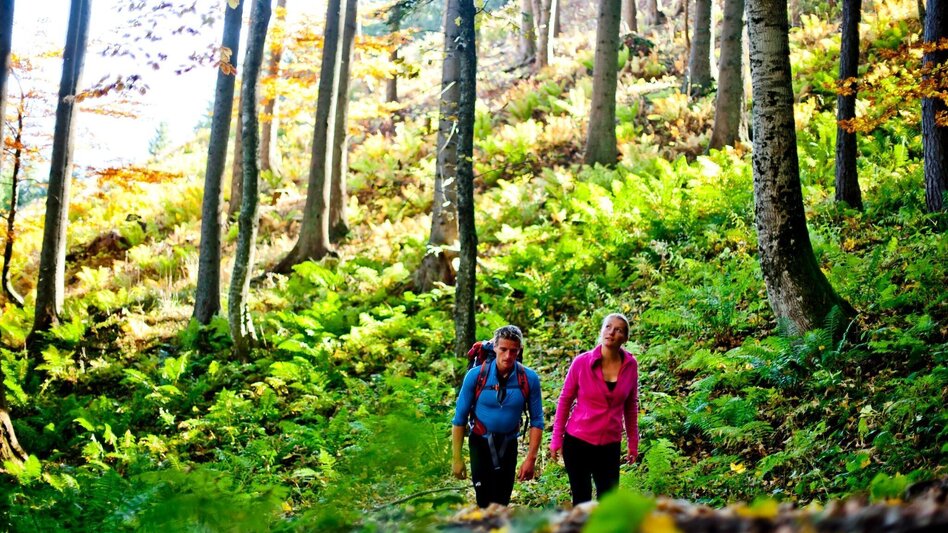 Wanderung Zum Josersee - Touren-Impression #2.7 | © Steiermark Tourismus