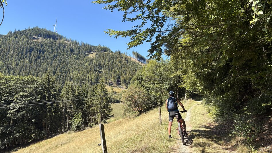 Mountain Biking Silbersberg Round I 810 - Touren-Impression #2.1 | © TVB Erzberg-Leoben