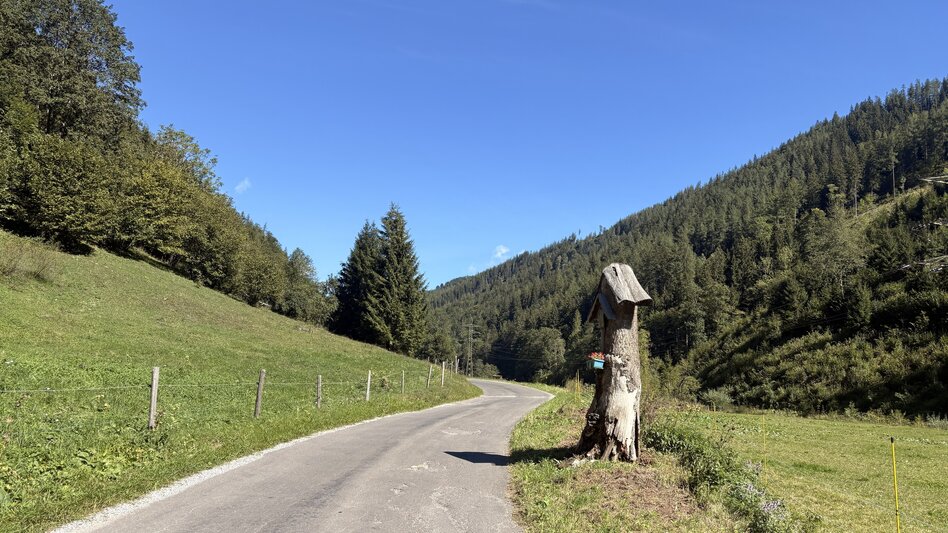 Mountain Biking Silbersberg Round I 810 - Touren-Impression #2.3 | © TVB Erzberg-Leoben