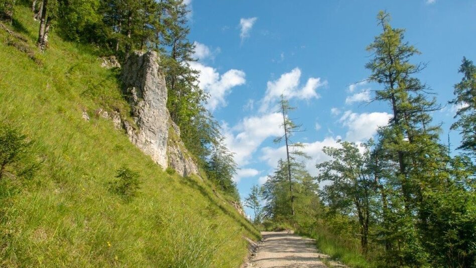 Hiking Route Teufelskirche - Spitzenbachklamm - Touren-Impression #2.9 | © TV Gesäuse