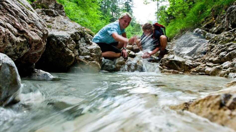 Wanderung Almenwanderung zu Gams und Edelweiss - Touren-Impression #2.1 | © Steiermark Tourismus