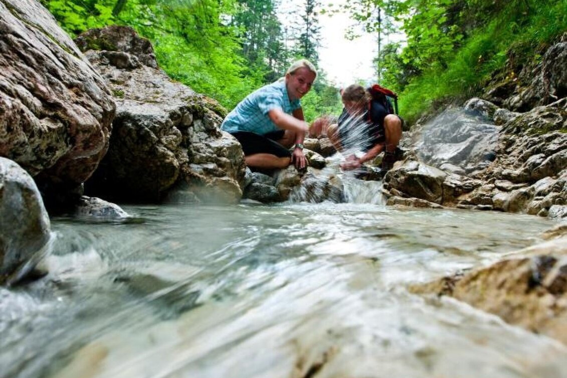 Wanderung Almenwanderung zu Gams und Edelweiss - Touren-Impression #1 | © Steiermark Tourismus