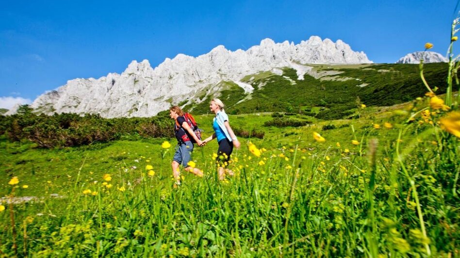 Wanderung Almenwanderung zu Gams und Edelweiss - Touren-Impression #2.2 | © Steiermark Tourismus