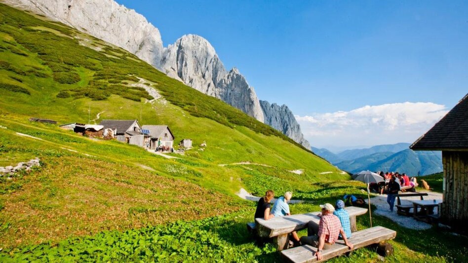 Wanderung Almenwanderung zu Gams und Edelweiss - Touren-Impression #2.3 | © Steiermark Tourismus