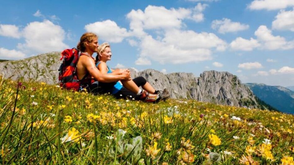 Wanderung Almenwanderung zu Gams und Edelweiss - Touren-Impression #2.4 | © Steiermark Tourismus