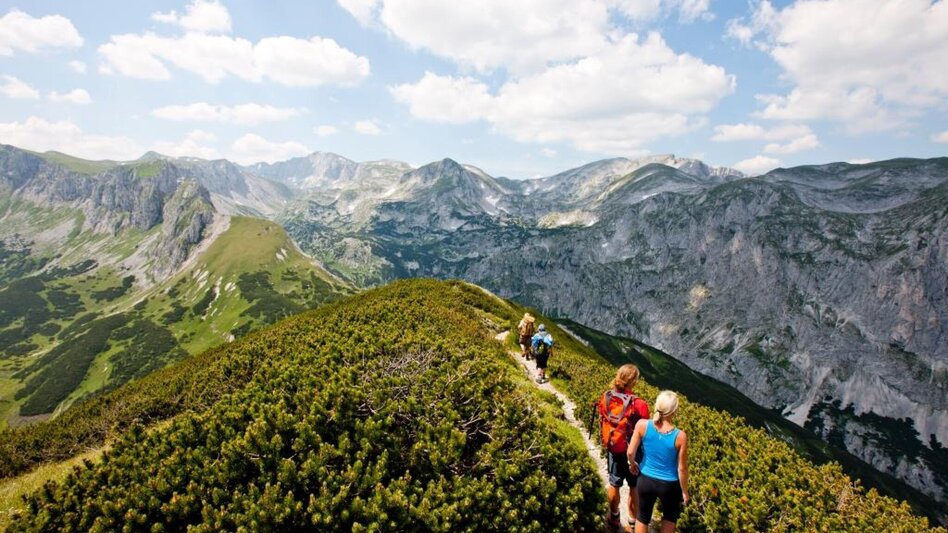 Wanderung Almenwanderung zu Gams und Edelweiss - Touren-Impression #2.6 | © Steiermark Tourismus