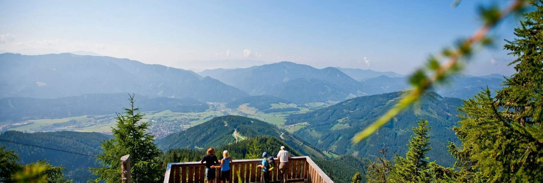 Hiking route Almenwanderung zu Gams und Edelweiss - Touren-Impression #1 | © Steiermark Tourismus