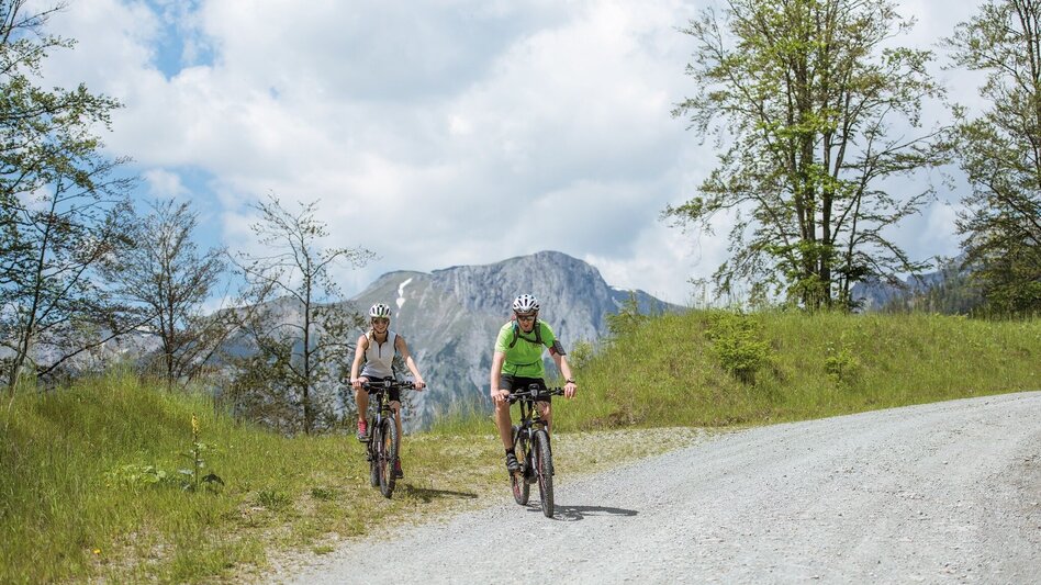 Mountainbike Mountainbike-Tour auf die Aflenzer Bürgeralm - Touren-Impression #2.2 | © TV Hochsteiermark