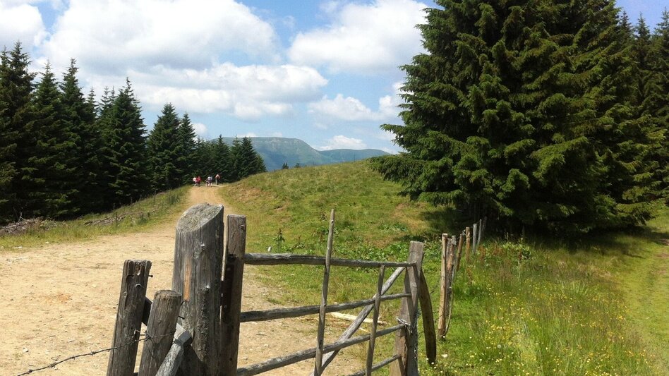 Hiking Route From the Salzstiegl to the Altes Almhaus: "Summit victory on the Rappold" - Touren-Impression #2.6 | © Region Graz