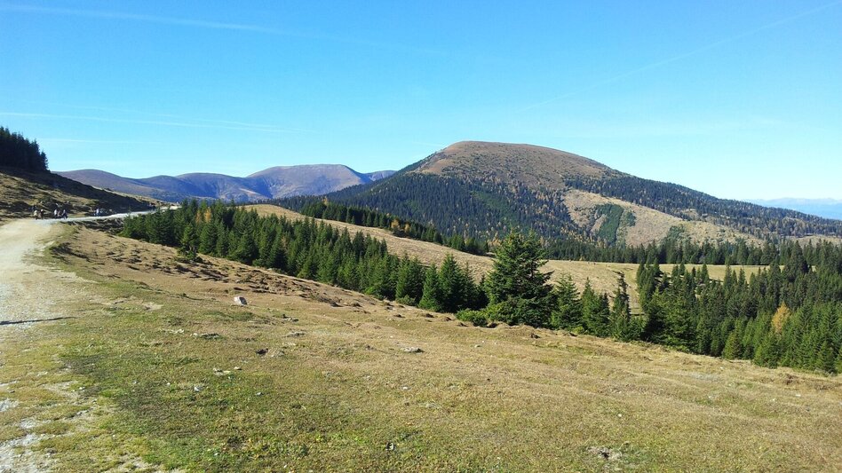 Hiking Route From the Salzstiegl to the Altes Almhaus: "Summit victory on the Rappold" - Touren-Impression #2.10 | © Region Graz