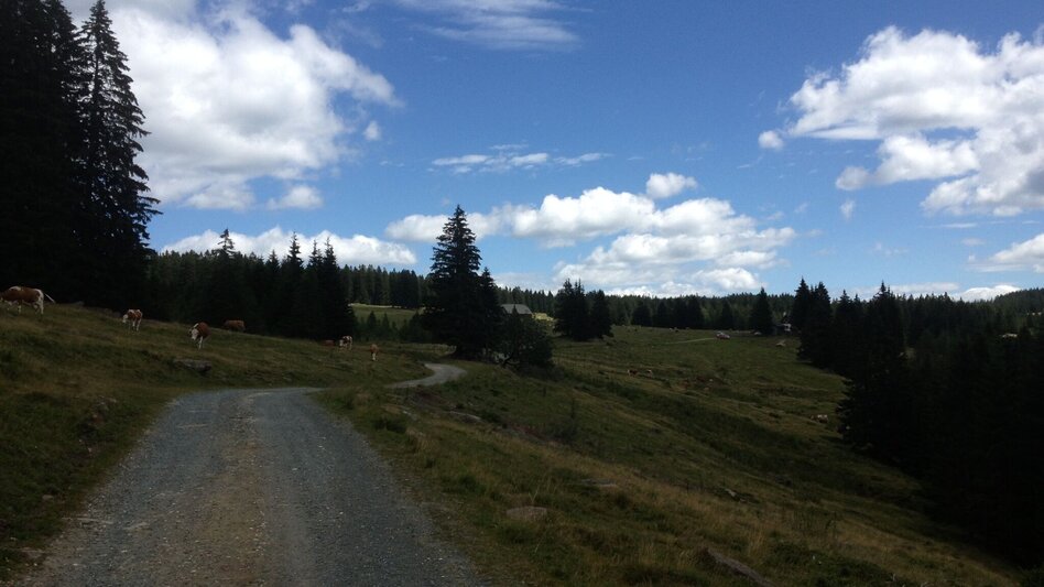 Wanderung Winkelwanderung: Von Modriach-Winkel auf die Hebalm - Touren-Impression #2.1 | © Community