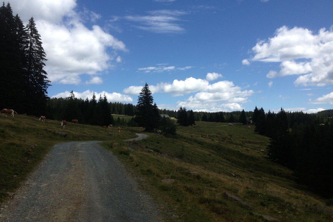 Wanderung Winkelwanderung: Von Modriach-Winkel auf die Hebalm - Touren-Impression #1 | © Community