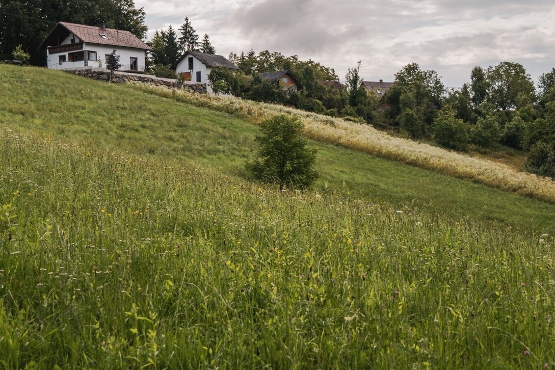 Wanderung Greith-Wege – Genusstour  - Touren-Impression #1 | © TV Südsteiermark/Silvan