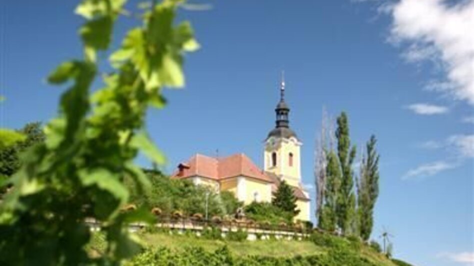 Hiking Route Kitzeck Wine Trail K8 - Touren-Impression #2.2 | © TV Südsteiermark/Schiffer Symbol