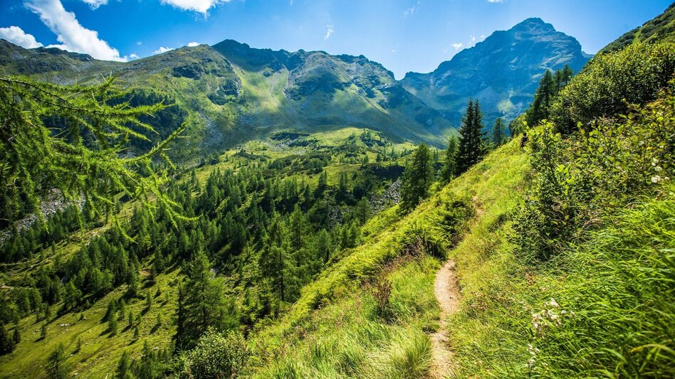 Water Trail Alpine loop to the idyllic Moaralmsee - Touren-Impression #2.3 | © TVB Haus-Aich-Gössenberg