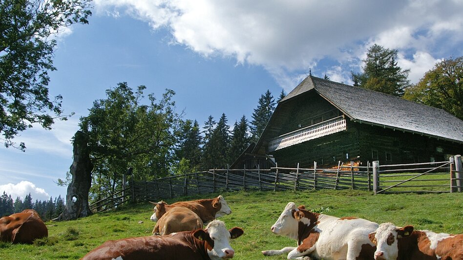 Wanderung Ungarischer Mariazeller Weg über Vorau - Touren-Impression #2.5 | © TVB Hochsteiermark
