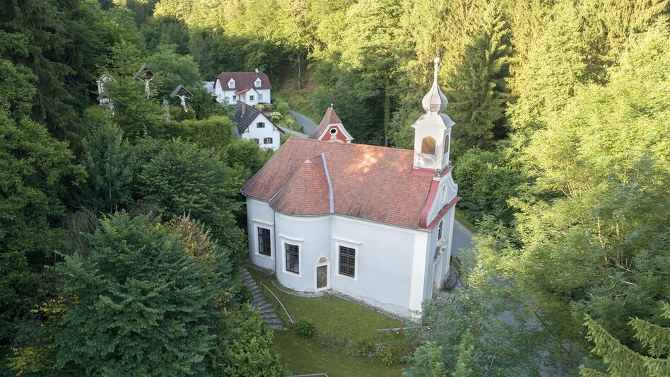 Wanderung Hirschbirnweg, Richtung Pöllauberg - Touren-Impression #2.4 | © Oststeiermark Tourismus