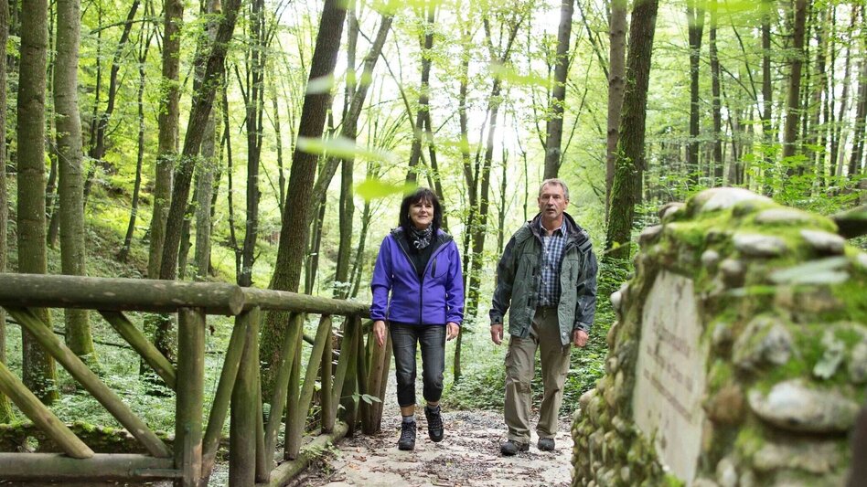 Hiking Route Rauchenbergweg, St. Ruprecht/Raab - Touren-Impression #2.1 | © Oststeiermark Tourismus
