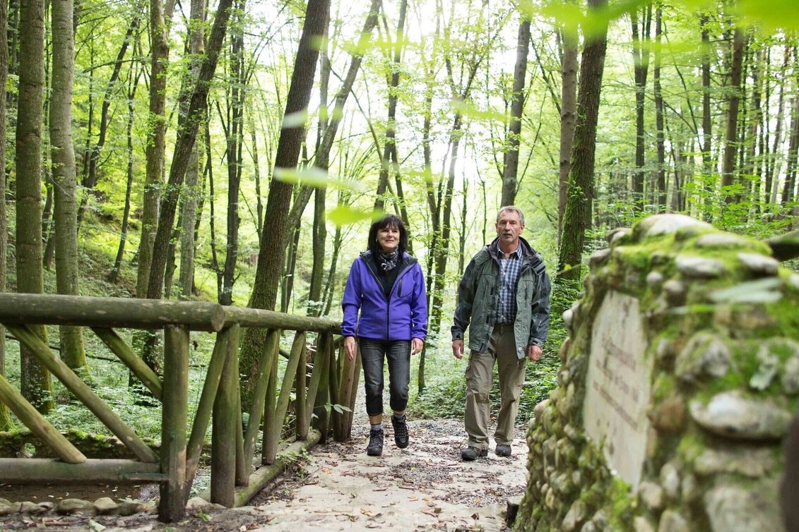Hiking Route Rauchenbergweg, St. Ruprecht/Raab - Touren-Impression #1 | © Oststeiermark Tourismus