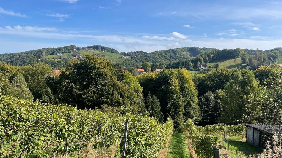 Hiking Route Way of the Senses Nr. 16 - Touren-Impression #2.4 | © TV Südsteiermark/Walch