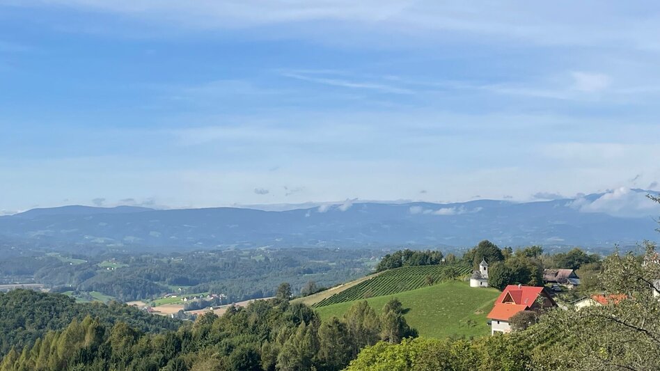 Hiking Route Way of the Senses Nr. 16 - Touren-Impression #2.1 | © TV Südsteiermark/Walch