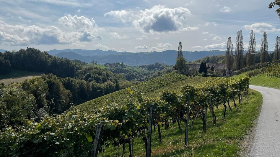 Hiking Route Way of the Senses Nr. 16 - Touren-Impression #2.5 | © TV Südsteiermark/Walch