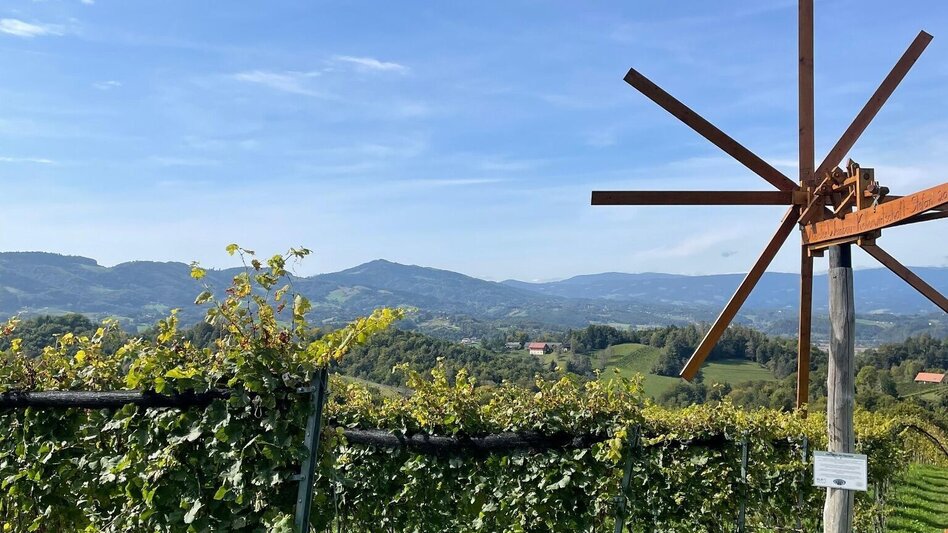 Hiking Route Way of the Senses Nr. 16 - Touren-Impression #2.7 | © TV Südsteiermark/Walch