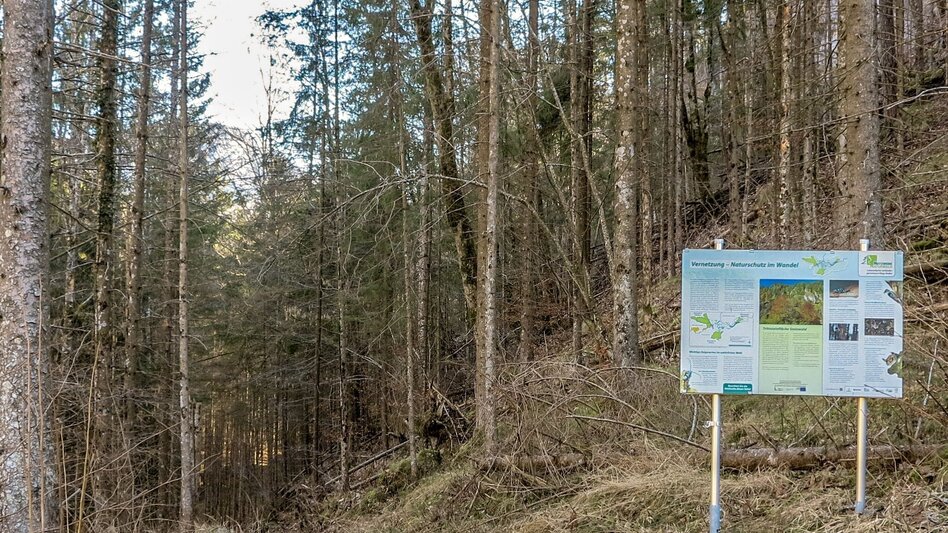 Themen- und Lehrpfad Gasteiger Rundwanderweg - Touren-Impression #2.8 | © TV Gesäuse