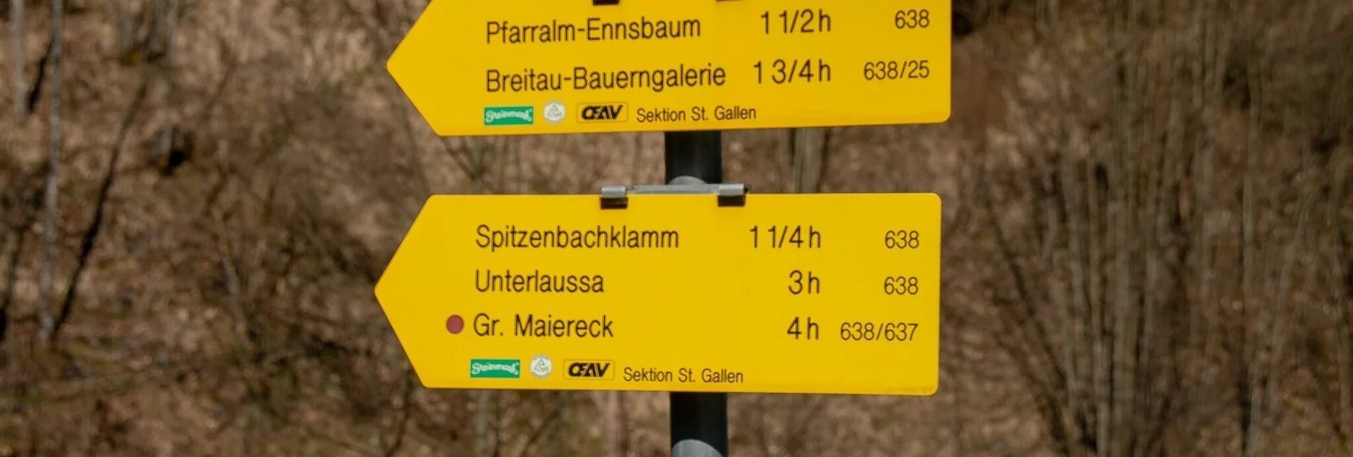 Hiking route Spitzenbachklamm the "Valley of the Butterflies - Touren-Impression #1 | © TV Gesäuse