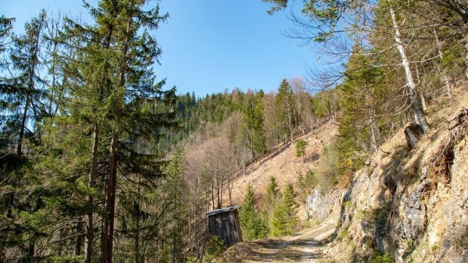 Bergtour Zinödlbergrunde über Stockingeralm - Touren-Impression #2.6 | © TV Gesäuse