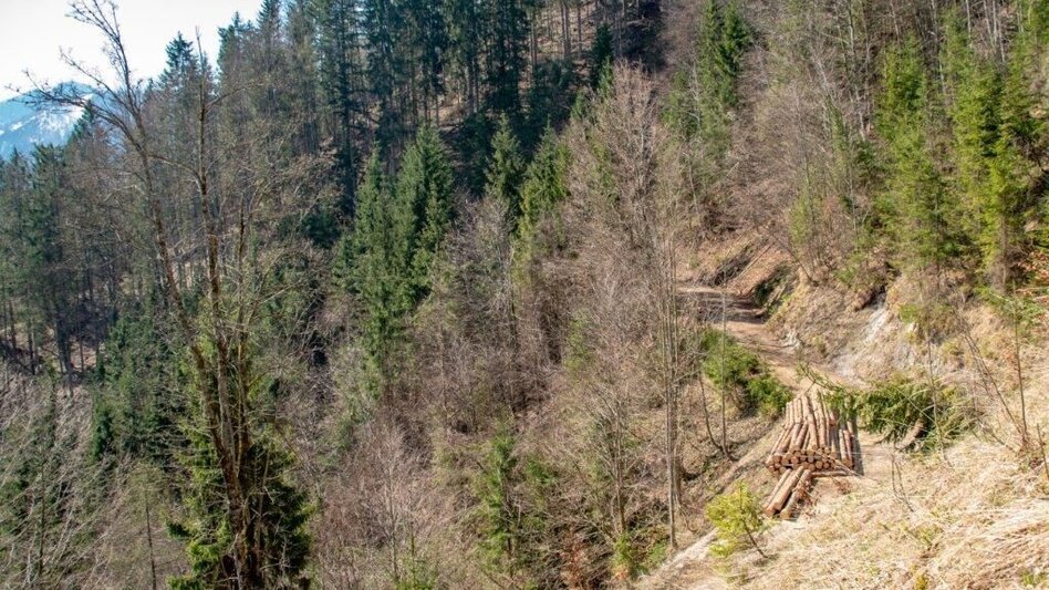 Bergtour Zinödlbergrunde über Stockingeralm - Touren-Impression #2.7 | © TV Gesäuse