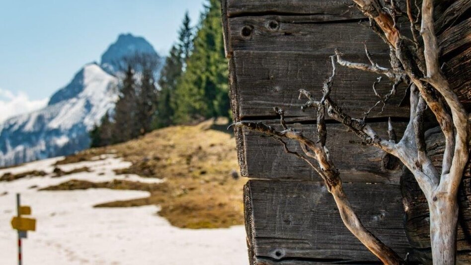 Bergtour Zinödlbergrunde über Stockingeralm - Touren-Impression #2.12 | © TV Gesäuse