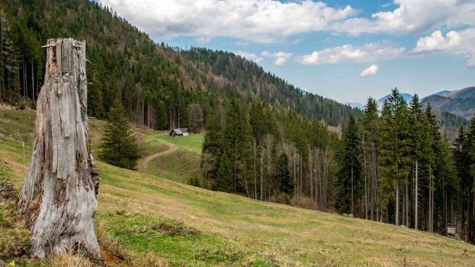 Bergtour Zinödlbergrunde über Stockingeralm - Touren-Impression #2.10 | © TV Gesäuse