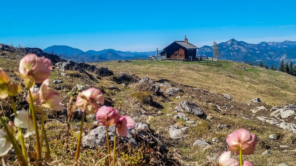 Bergtour Zinödlbergrunde über Stockingeralm - Touren-Impression #2.1