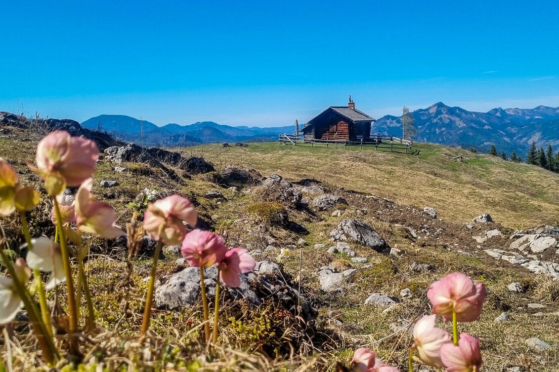 Bergtour Zinödlbergrunde über Stockingeralm - Touren-Impression #1