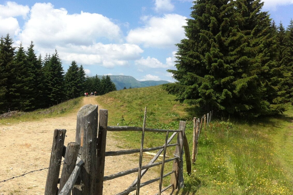 Hiking Route Vom Salzstiegl nach Hirschegg (Altes Almhaus/St. Hemma) - Touren-Impression #1 | © Region Graz