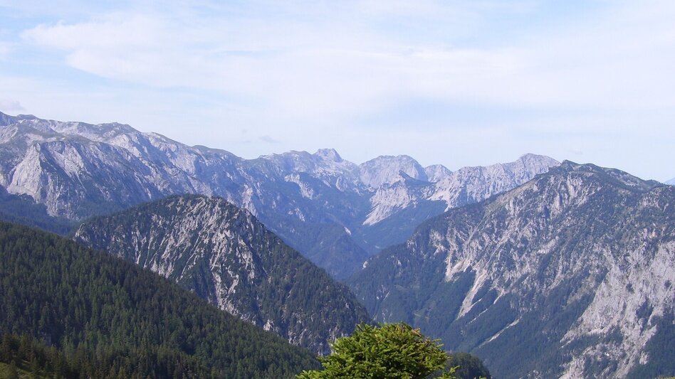 Wanderung Zeller Staritzen - Rundtour - Touren-Impression #2.3 | © TV Hochsteiermark