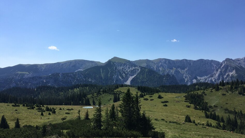 Wanderung Zeller Staritzen - Rundtour - Touren-Impression #2.5 | © TV Hochsteiermark